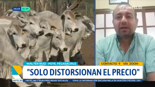 El Gobierno no mira costos y no ataca el contrabando, señalan ganaderos, que piden liberar la exportación de carne de res