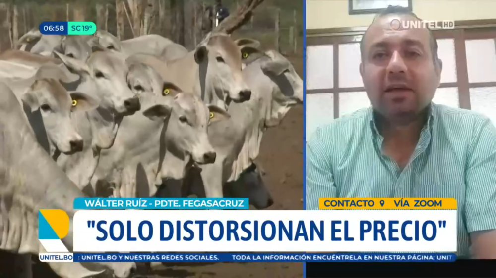 El Gobierno no mira costos y no ataca el contrabando, señalan ganaderos, que piden liberar la exportación de carne de res