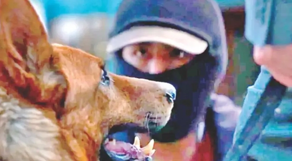 La boliviana «El ladrón de perros» gana el Platino para Mejor Ópera Prima