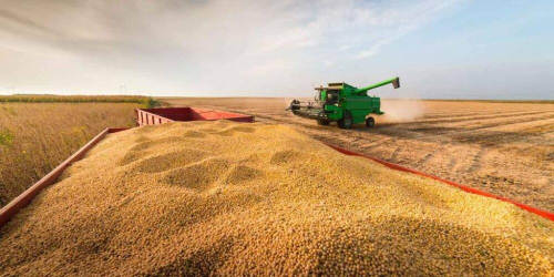 Soyeros: Se pierden oportunidades ante trabas burocráticas para exportar la cosecha de verano