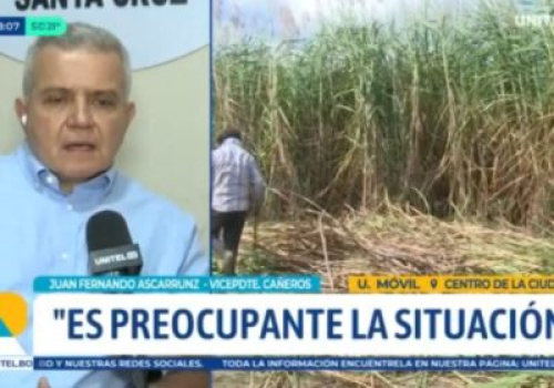 Crisis de diésel afecta a la zafra cañera: “Estamos con un retraso, el sector requiere 60 millones de litros”, alerta dirigente
