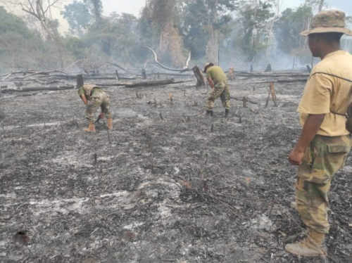 Registran 237 focos de calor, la mayoría en Santa Cruz