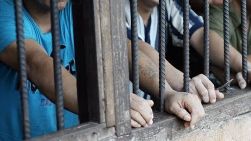 Sin datos, sin políticas, sin derechos: la exclusión de personas LGBT en las prisiones bolivianas