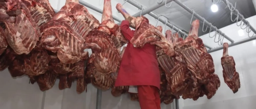 “Hay esperanza de traer divisas”, señala Congabol, que reinicia exportación de carne tras levantarse el veto
