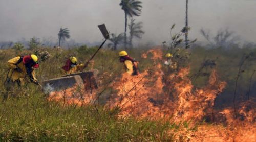 Fuerzas Armadas activan plan nacional contra incendios e instalan cuatro campamentos en zonas críticas de Santa Cruz