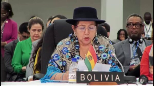 Bolivia alerta en la OEA sobre «tensiones políticas» que ponen en riesgo las elecciones