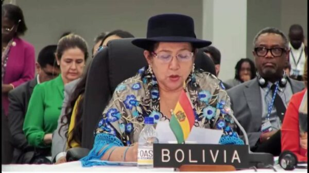 Bolivia alerta en la OEA sobre «tensiones políticas» que ponen en riesgo las elecciones