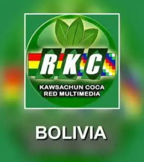 Facebook elimina la cuenta de Kawsachun Coca