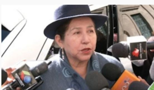 Canciller responde a informe de la ONU y defiende capacidad productiva de Bolivia