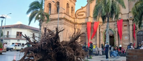 Árboles caídos y un tendido eléctrico afectado; los fuertes vientos causan estragos en Santa Cruz