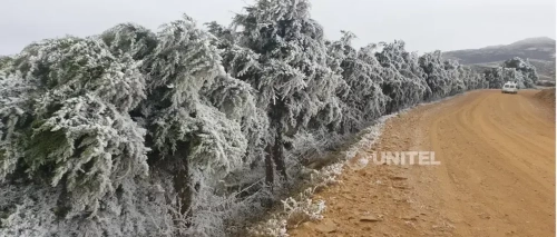 Tome previsiones: Estas son las zonas que registrarán heladas en el país