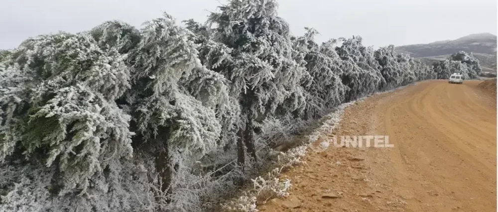 Tome previsiones: Estas son las zonas que registrarán heladas en el país