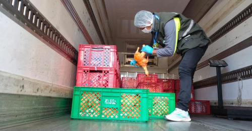 CEO-LCC incauta grandes volúmenes de alimentos básicos en operativos fronterizos
