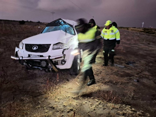 Oruro: Chofer muere al volcar su camioneta tras atropellar a una vicuña en la ruta Sevaruyo – Huari