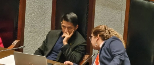 Andrónico reaparece en el Senado tras su anunciada postulación a los comicios